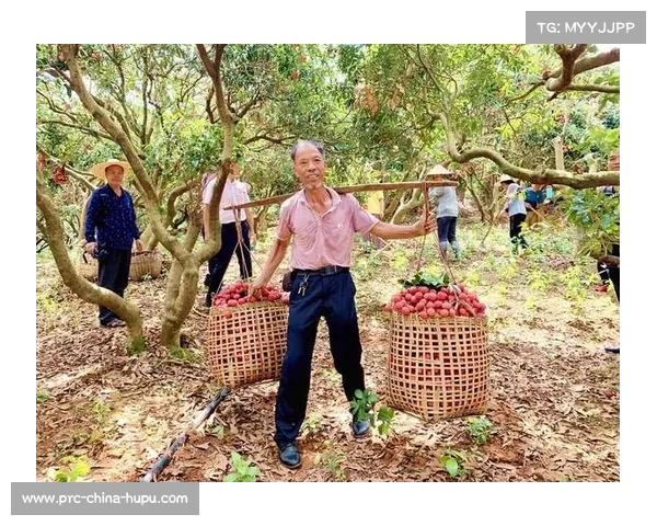 澳大利亚选手梁梓欣跨洲参赛后盛赞广西荔枝 成为赛后话题亮点 澳大利亚选手梁梓欣跨洲参赛后盛赞广西荔枝 成为赛后话题亮点